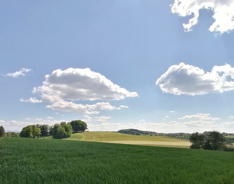 Bloß keinen Stress... oder Gelassenheit macht glücklich