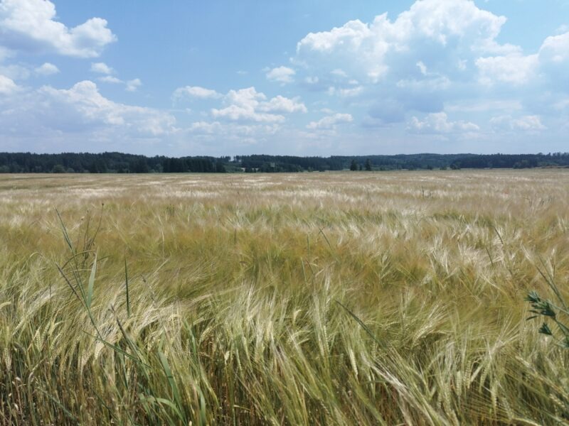Wohin solls gehen?
